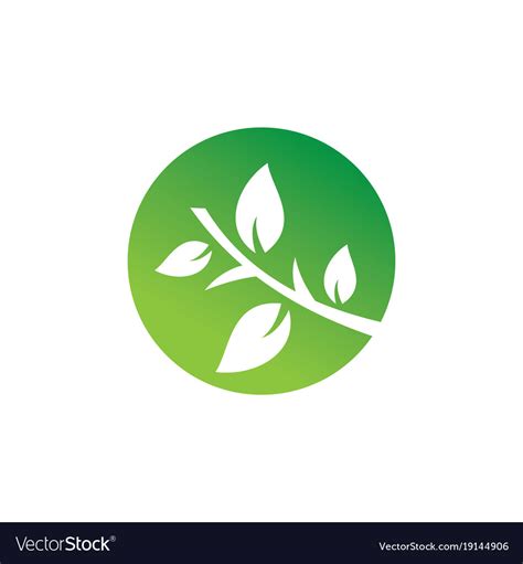 Circle Green Leaf Logo Royalty Free Vector Image