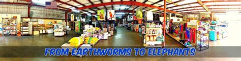 3806 s dale mabry hwy tampa, fl 33611. Smelt Feed & Pet Supply - Pet Stores - 4116 E 7th Ave ...
