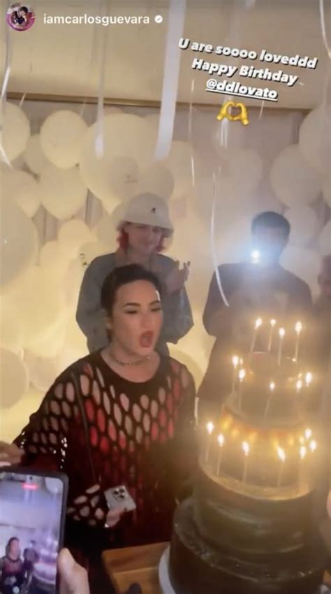Demi Lovatos 30th Birthday Cake Photos Demi Lovato 30th Birthday