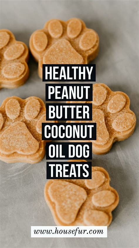 Healthy Homemade Peanut Butter Coconut Oil Dog Treats Recipe