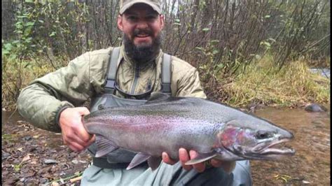 brule river fishing report | Fly By Night Guide Service