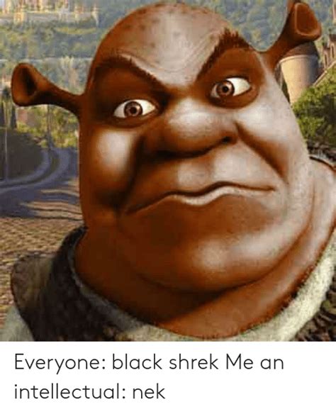 25 Best Memes About Black Shrek Black Shrek Memes