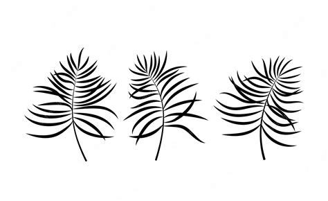 Premium Vector Set Of 3 Palm Branches Hand Drawn Botanical Elements
