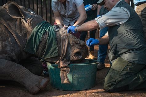 Us Military Vets Aim To Protect Rhinos And Their Protectors