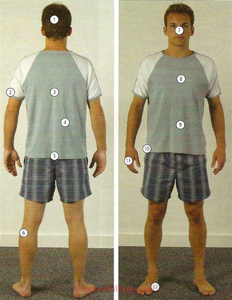 Human Body Parts Pictures With Names Body Parts Vocabulary Leg Head