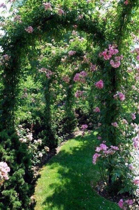 🌳 61 Magical Secret Garden Paths Dream Garden Garden Inspiration