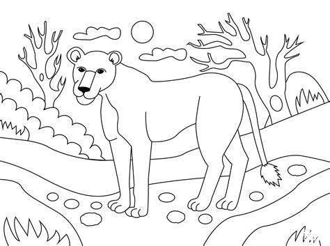 Lioness Coloring Page Colouringpages