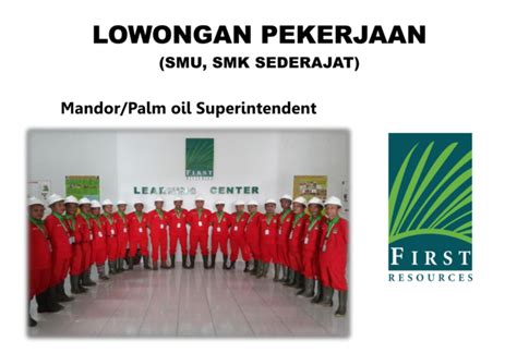 We did not find results for: Lowongan Mandor di PT First Resources - Penempatan Kalimantan (Gaji UMSP, Premi, BPJS, Dll ...