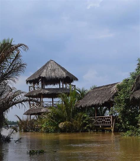 Vietnam Mekong River Hut Free Image Download