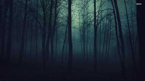Dark Forest Wallpaper ·① Download Free Hd Backgrounds For