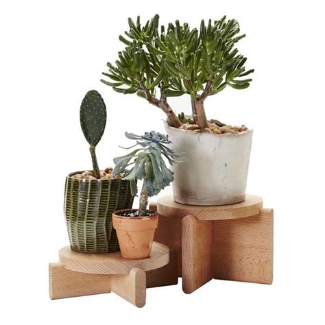 Plant Pedestals | Pflanzen, Zimmerpflanzen ideen, Deko