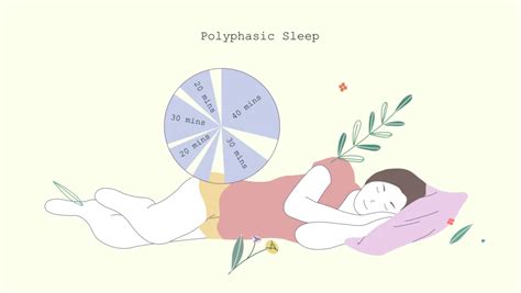 4 Benefits Of Polyphasic Sleep Sleep Guides