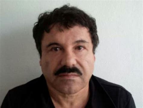 El chapo escapes prison and gets the government to back him as leader of a cartel federation. El Chapo expected to get life sentence from US judge