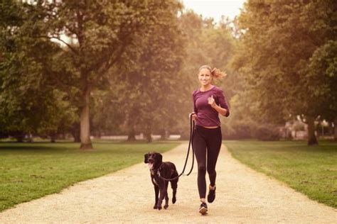 11 easy ways to start a morning walking routine to get more steps the pacer blog walking