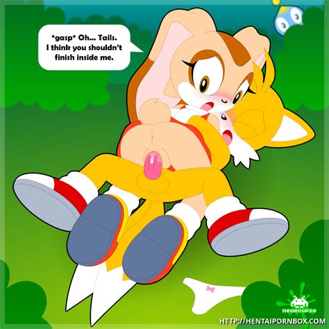 Rule 34 Bunny Girl Chao Sonic Cheese The Chao Cream The Rabbit Cum