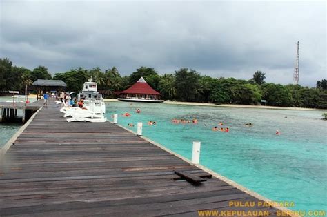 Liburan Ke Pulau Pantara Dengan Menikmati Jernihnya Air Laut Di