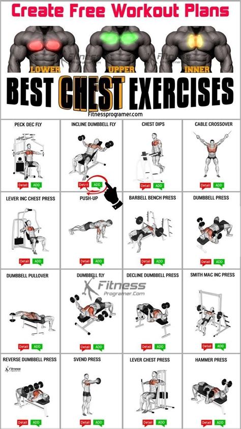 Chest Exercises Chart For Men