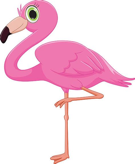Best Funny Flamingo Silhouette Illustrations Royalty Free Vector