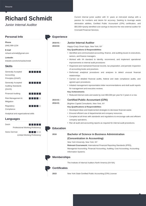 Auditor Resume Sample And Guide 20 Examples