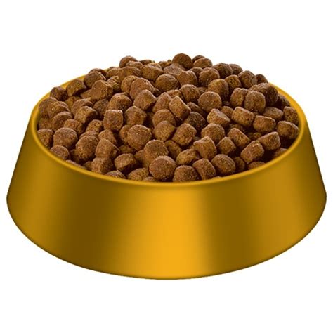 Balanced minerals for strong bones & teeth. Hills Science Diet Puppy Large Breed Dry Dog Food