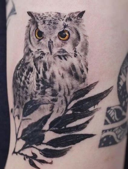 Aggregate More Than 79 Owl Tattoo Designs Latest Thtantai2