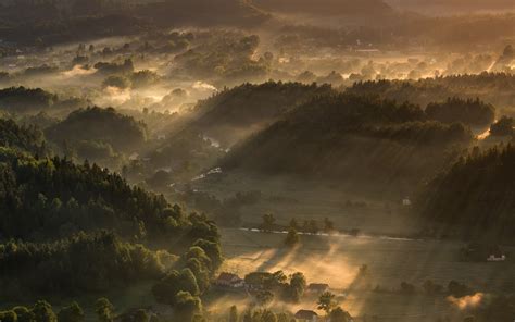 Nature Landscape Mist Forest Trees Morning Sunbeams Sunrise Aerial View
