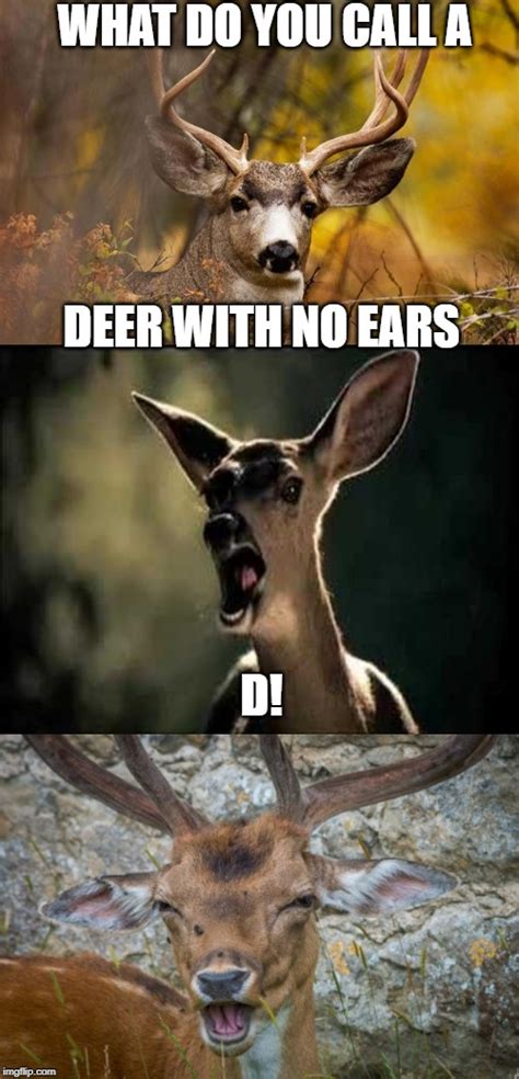 Bad Pun Deer Imgflip