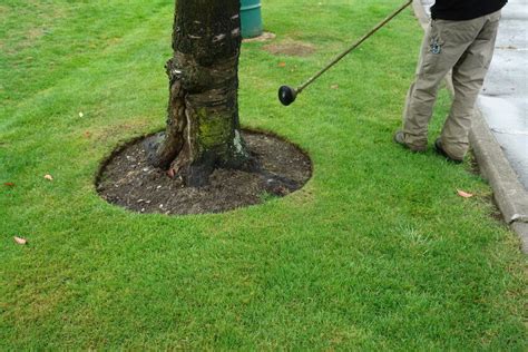 It ensures the edger is more efficient and quieter without the need to combine gas and oil. What Is a Lawn Edger? | eBay