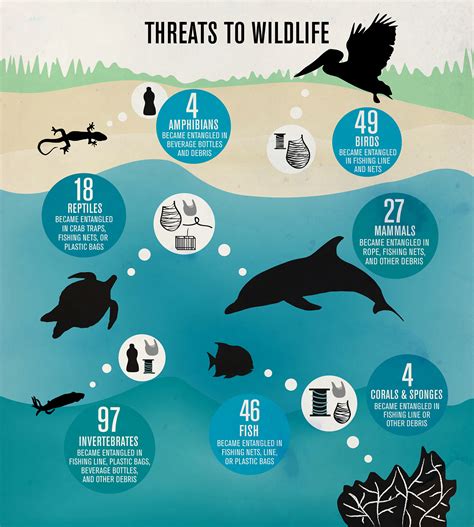 Ocean Conservancy Infographics Behance