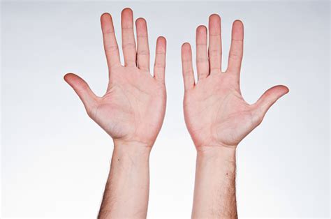 Two Hands With Palms Facing Up Stock Photo Download Image Now Istock
