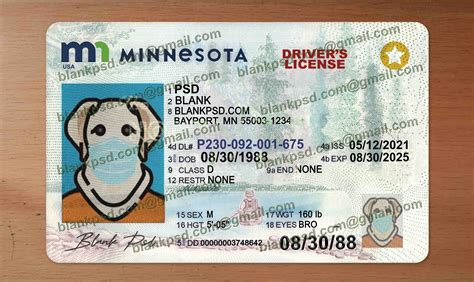 Minnesota Drivers License Template New V2 Blank Psd