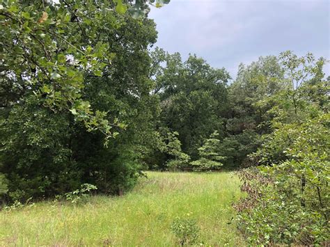 Fairfield, Freestone County, TX Recreational Property, Hunting Property