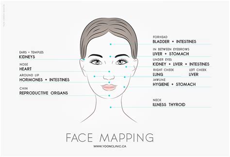 Traditional Chinese Medicine Diagnosis Face Mapping