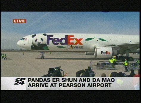Pair Of Giant Pandas Arrive In Toronto