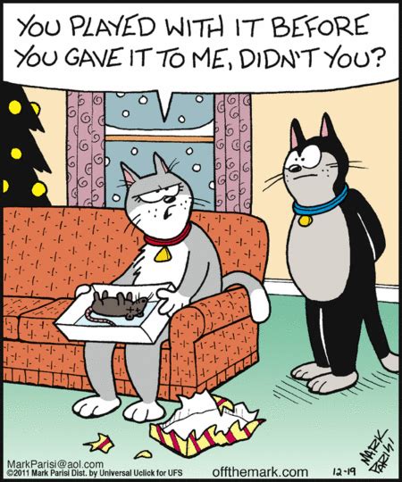 Focused Distortion Christmas Funny Christmas Cartoons Cat Jokes