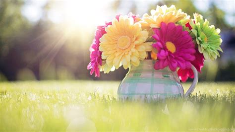 High Resolution Spring Wallpapers Top Free High Resolution Spring Backgrounds Wallpaperaccess