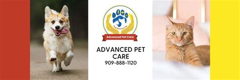 Advanced Pet Care 304 Reviews Veterinarians In San Bernardino Ca