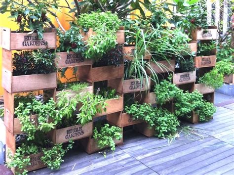 Edible Garden City Project Honeycombers Singapore