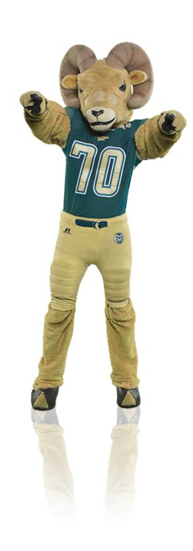 Cam The Ramthe Mascot For The Colorado State Rams Football Usa