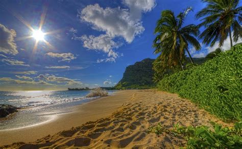803245 4k 5k Usa Coast Waves Sky Ocean Hawaii Palms Sand