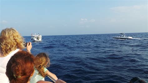 Half day maldives sunset dolphin cruise tour experience. Resort Review: Kurumba Maldives