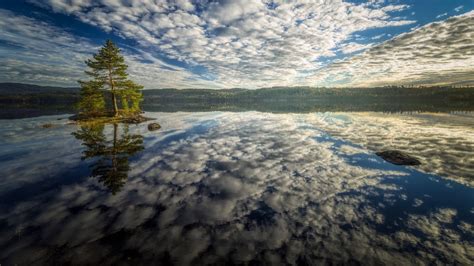 배경 화면 햇빛 나무 경치 숲 바다 언덕 호수 물 록 자연 반사 하늘 눈 구름 아침 강 수평선