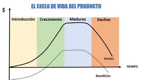 Ciclo De Vida De Un Producto Y Sus Etapas Hot Sex Picture