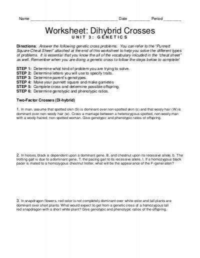 Complete a punnett square for the cross identify the genotypes and phenotypes for the potential offspring. Dihybrid Cross Worksheet | Homeschooldressage.com