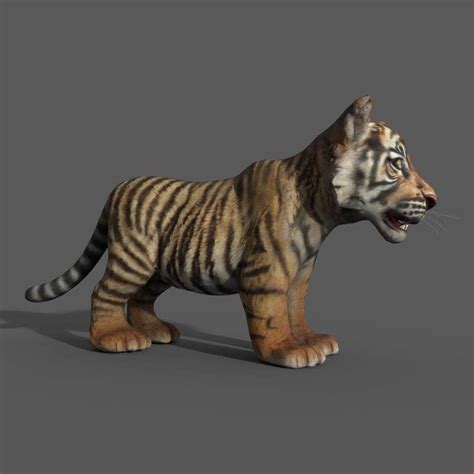 3d Model Tiger Cub Game Ready Cgtrader