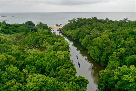 Extension Of The Mfl Rainforest Reserve Masoala