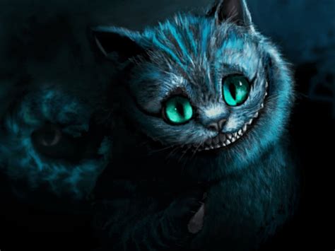 Cheshire Cat Wallpapers Top Free Cheshire Cat Backgrounds