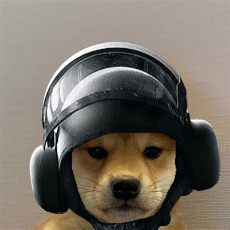 Doge With Hat R6 Doge Crypto