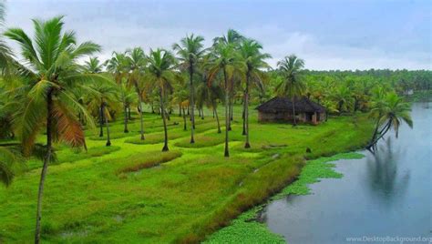 Nature Wallpaper Kerala Lodge State