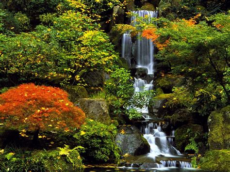 Portland Japanese Garden Wallpapers Top Free Portland Japanese Garden